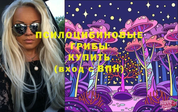 дурь Аркадак