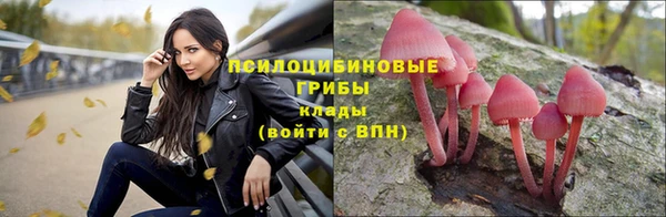 дурь Аркадак