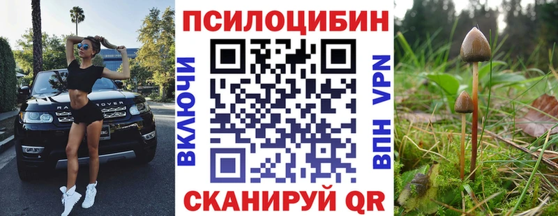 Галлюциногенные грибы прущие грибы Алушта
