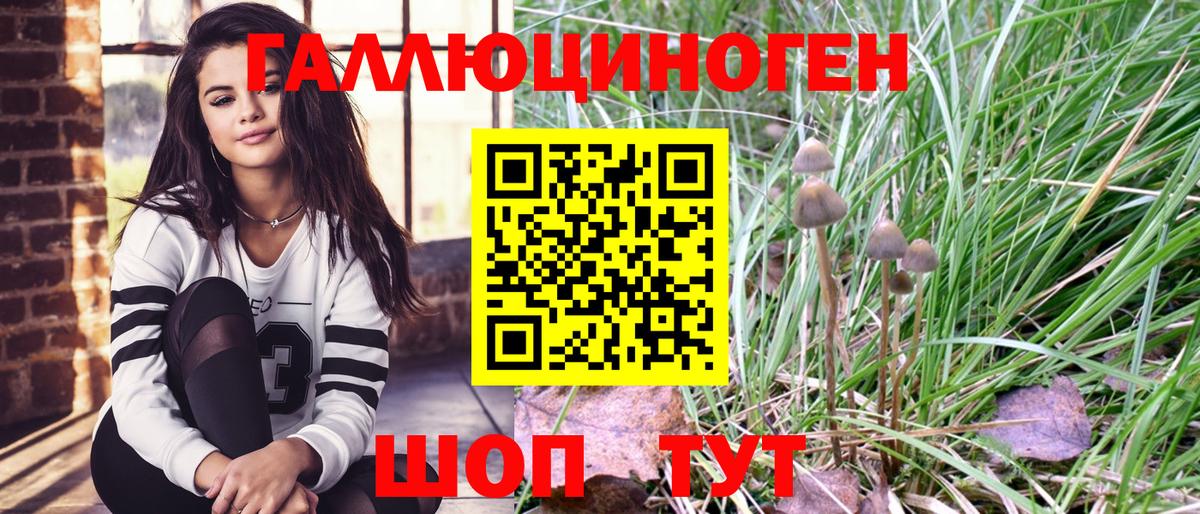 Псилоцибиновые грибы Magic Shrooms  наркота  Алушта 