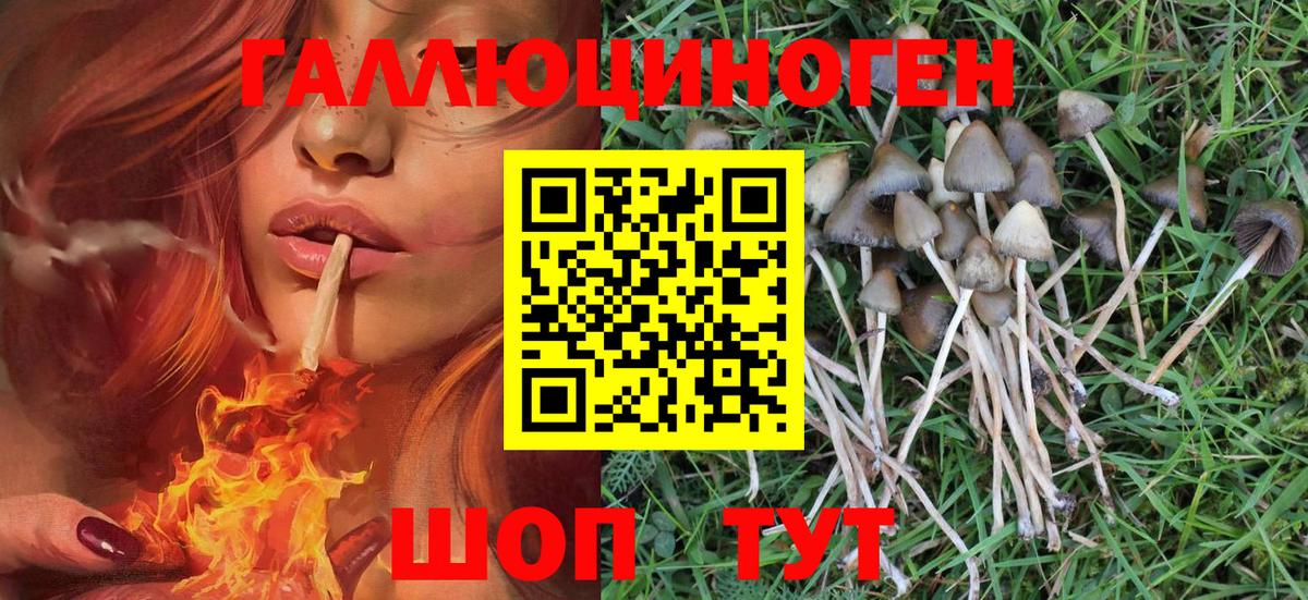Алушта  Галлюциногенные грибы MAGIC MUSHROOMS  Вход с VPN  Галлюциногенные грибы прущие грибы 