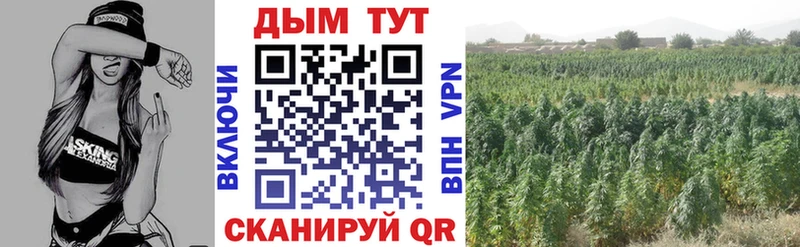 закладки Алушта МАРИХУАНА гибрид
